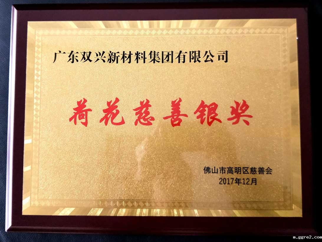 ggre2-荷花慈善奖